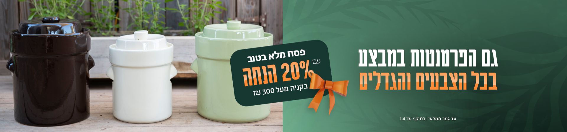 ���� ��� 2026