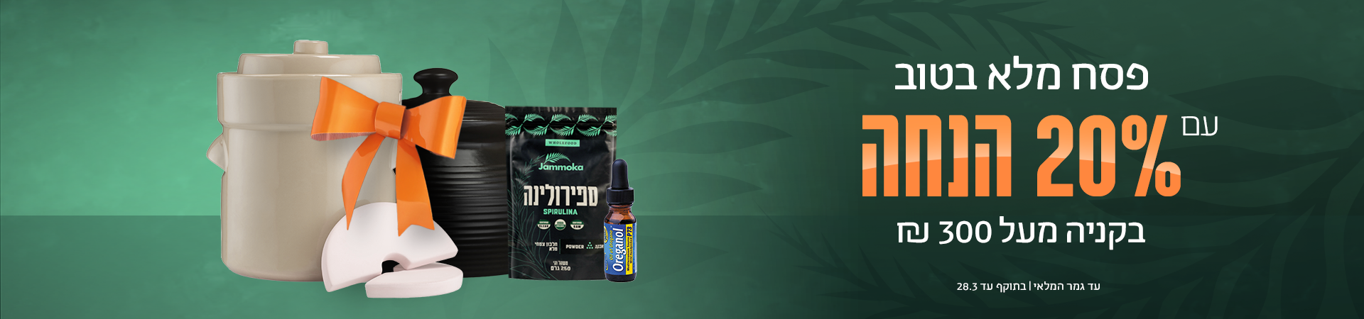 ���� ��� 2026 2 